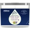 Glade® Aromatherapy Essential Oils Duftkerze Moment Of Zen 260G